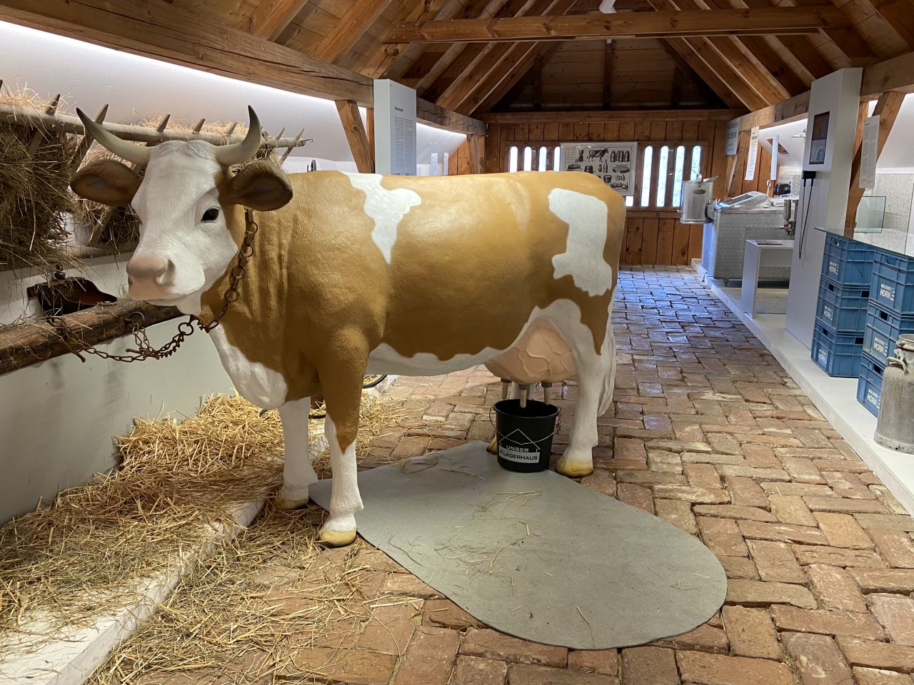 Museum Horn, Ausstellungsbereich Landwirtschaft mit Modell einer Kuh